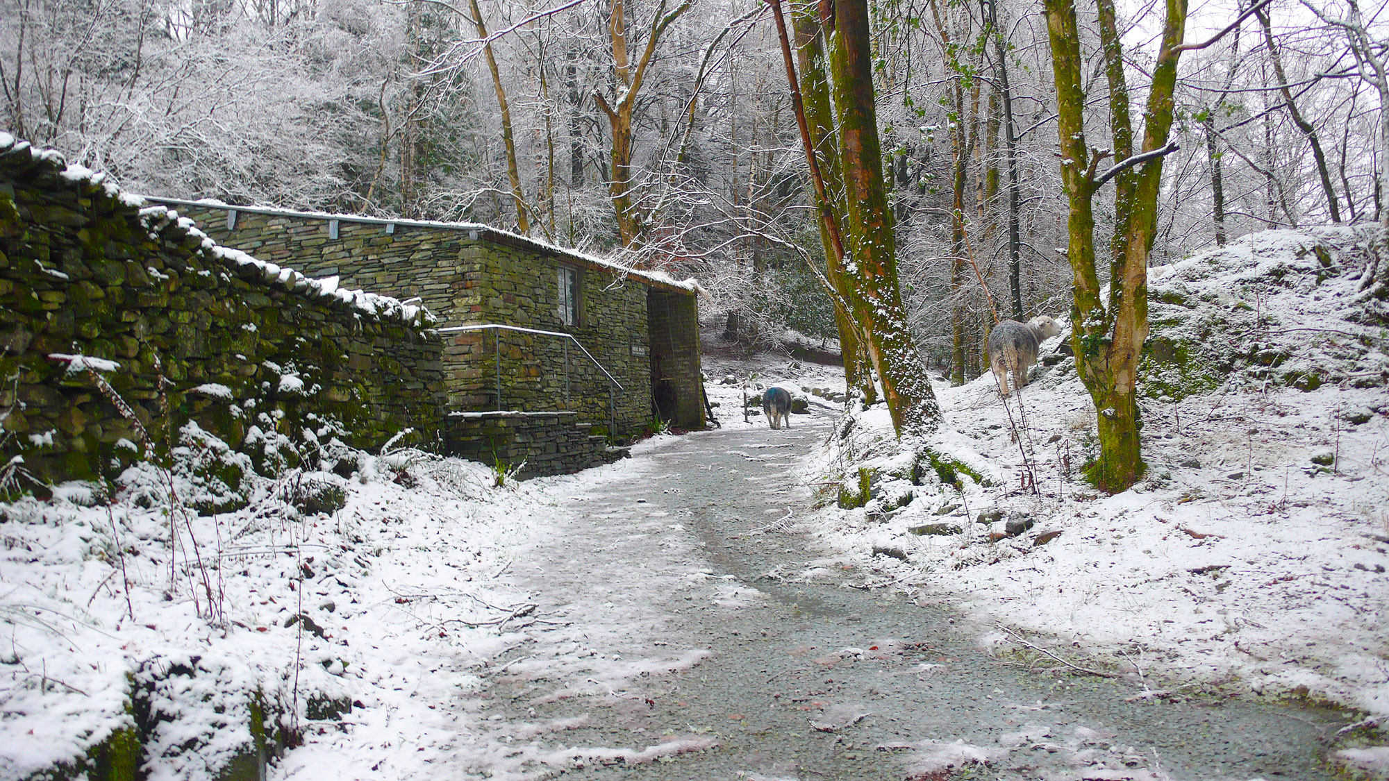 Merz-Barn-12.12.15